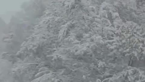 WINTER HAS STARTED IN 🇷🇺 RUSSIA