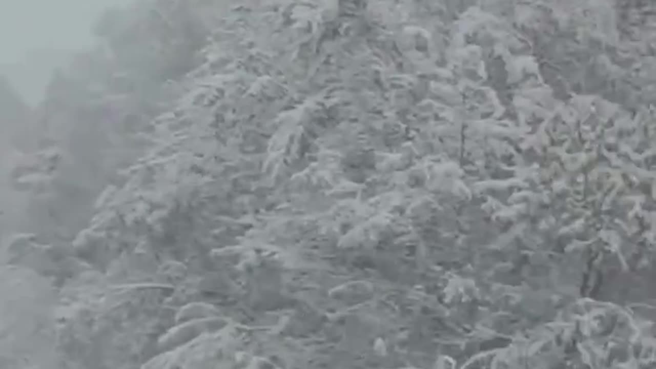 WINTER HAS STARTED IN 🇷🇺 RUSSIA