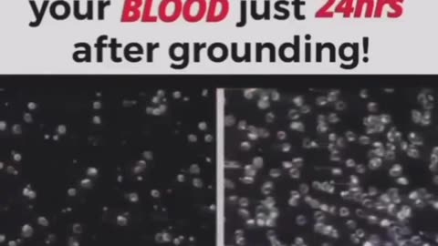 Are you suffering from increased inflammation, stress and low mood?