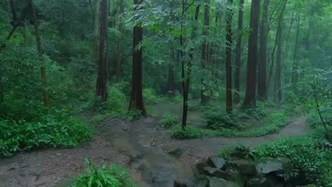 The streams and rain in the valley