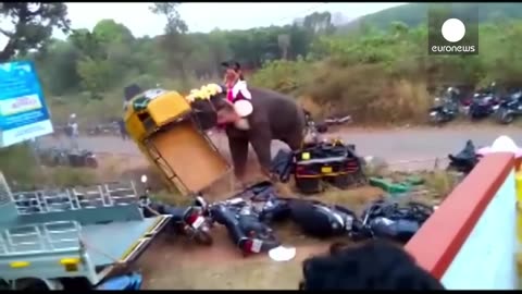 Elephant goes on rampage, flipping 27 vehicles, India