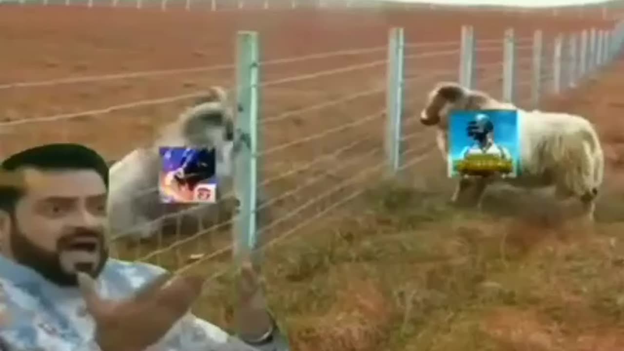 PUBG Vs FREE FIRE