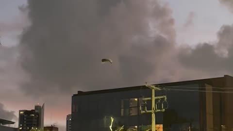 Owl Tries To Fly Against Wind