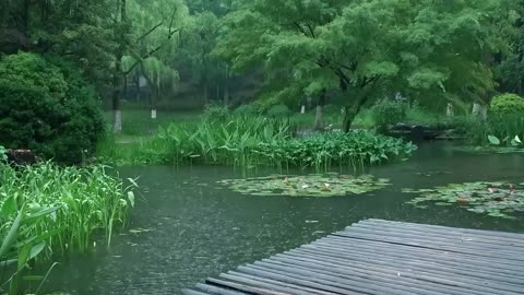 The beautiful little lake is raining