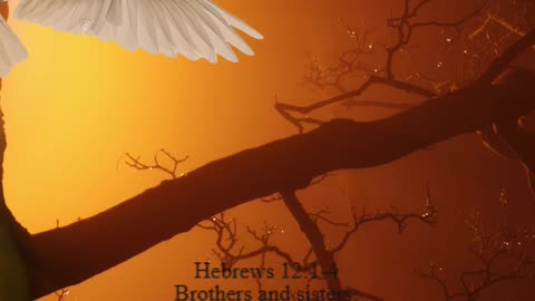 A reading from the book of Hebrews, 12:1-4