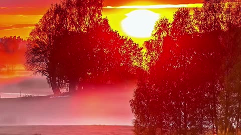 🌅 Morning Renewal Meditation | 432Hz Grabovoi Frequency for Love & Fresh Starts