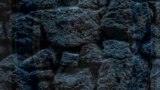 Visitación de María a Isabel - Visiones de la beata Ana Catalina Emmerick