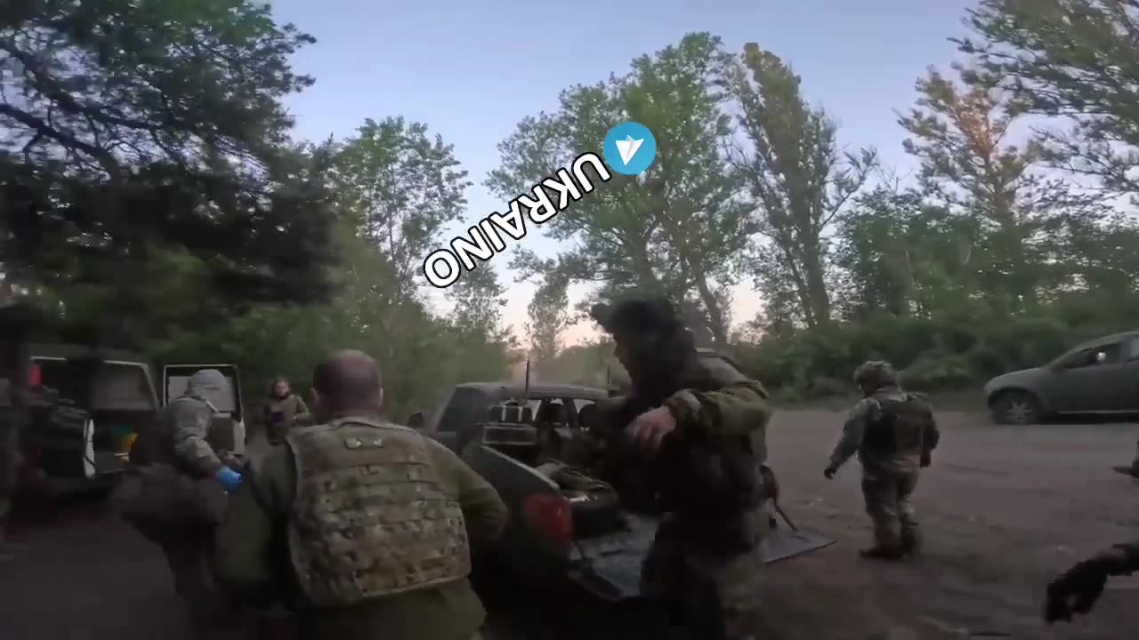 Colombian pigs on a boil