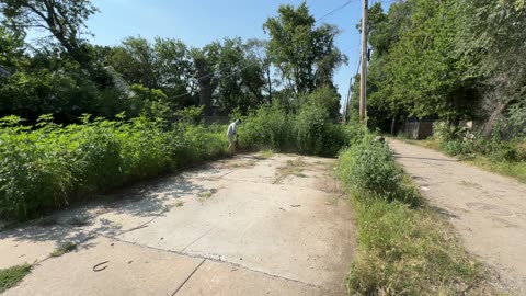 This was the yard that turned heads for the WRONG REASONS - It RUINED the whole street