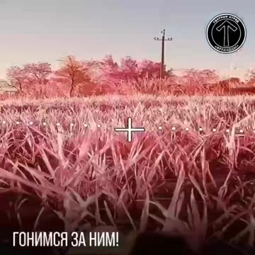 Ukraine war combat footage 10/11/25