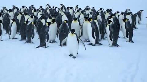 Think Long-Term. Act with Intention. The Path to Financial Freedom #financialfreedom