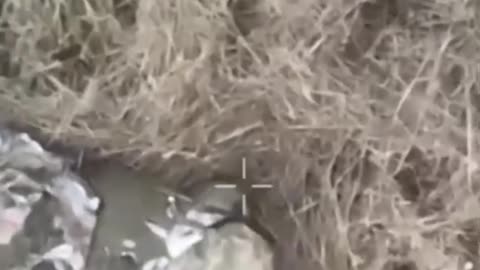 Russia 🇷🇺 Ukraine 🇺🇦 War