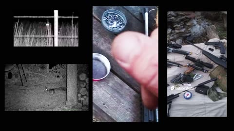 airguns and air rifles