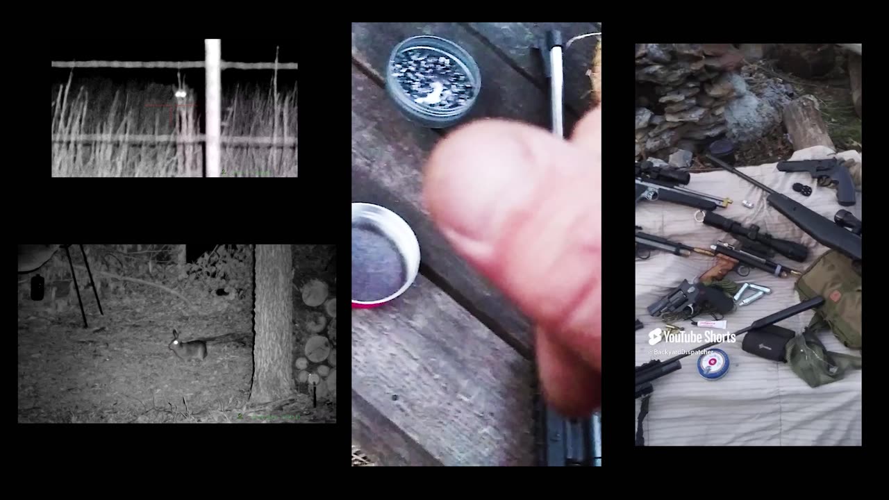 airguns and air rifles