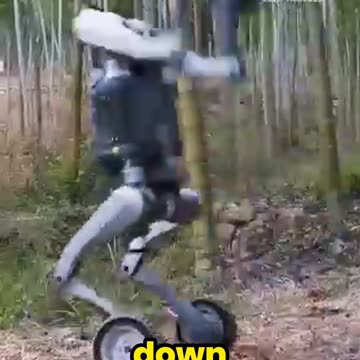 This Off-Road Robot Will Blow Your Mind!