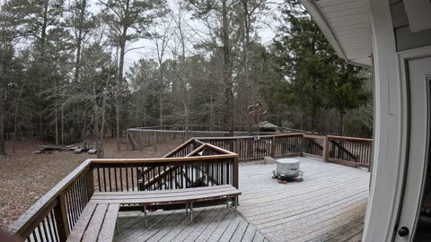 Snow, January 10, 2025 - Newberry County, SC