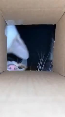 Ticket agent when in high demand 🤣