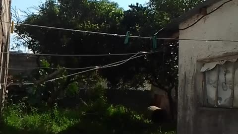 Muy loco el clima. ¡Soleado y lloviendo!