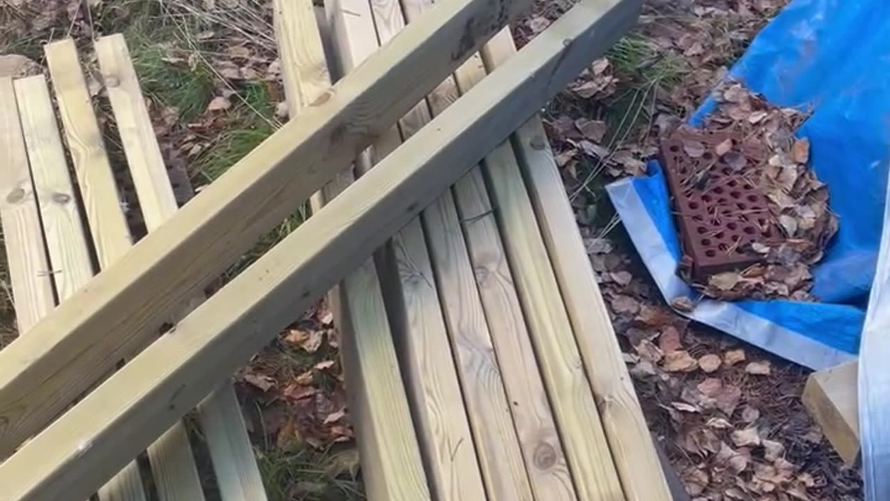 Fall Cleaning Part 2
