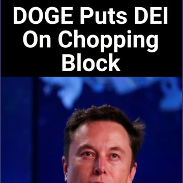 DOGE Puts DEI On Chopping Block