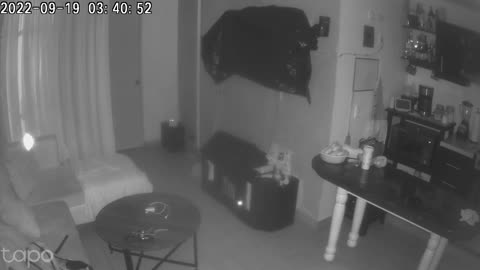 👽✨ Unexplained Lights Caught on Security Cam! Strange Phenomenon | TheHauntingHour