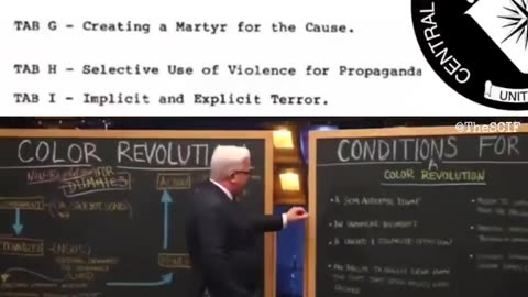 🚨 Is a Color Revolution Being Run Inside America?