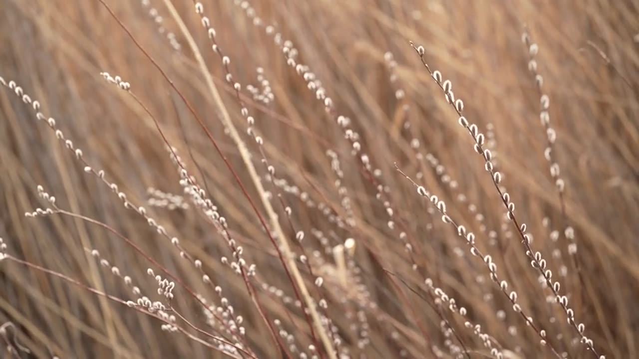 "The best revenge is massive success."