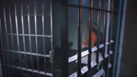 Inside the Vanguard: The Secret Left-Wing Plot Against Trump