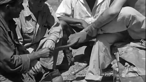 RELEASE OF AMERICAN PRIS... - RELEASE OF AMERICAN PRISONERS, CEBU, PHILIPPINE ISLANDS - 111-adc-3273