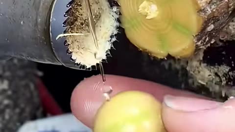 ✨👍 The Easiest Way To Remove Stickers Without Leaving Residue | LifeHacksDaily