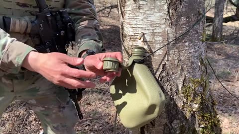 Survival Training: How to Get Water From a Tree