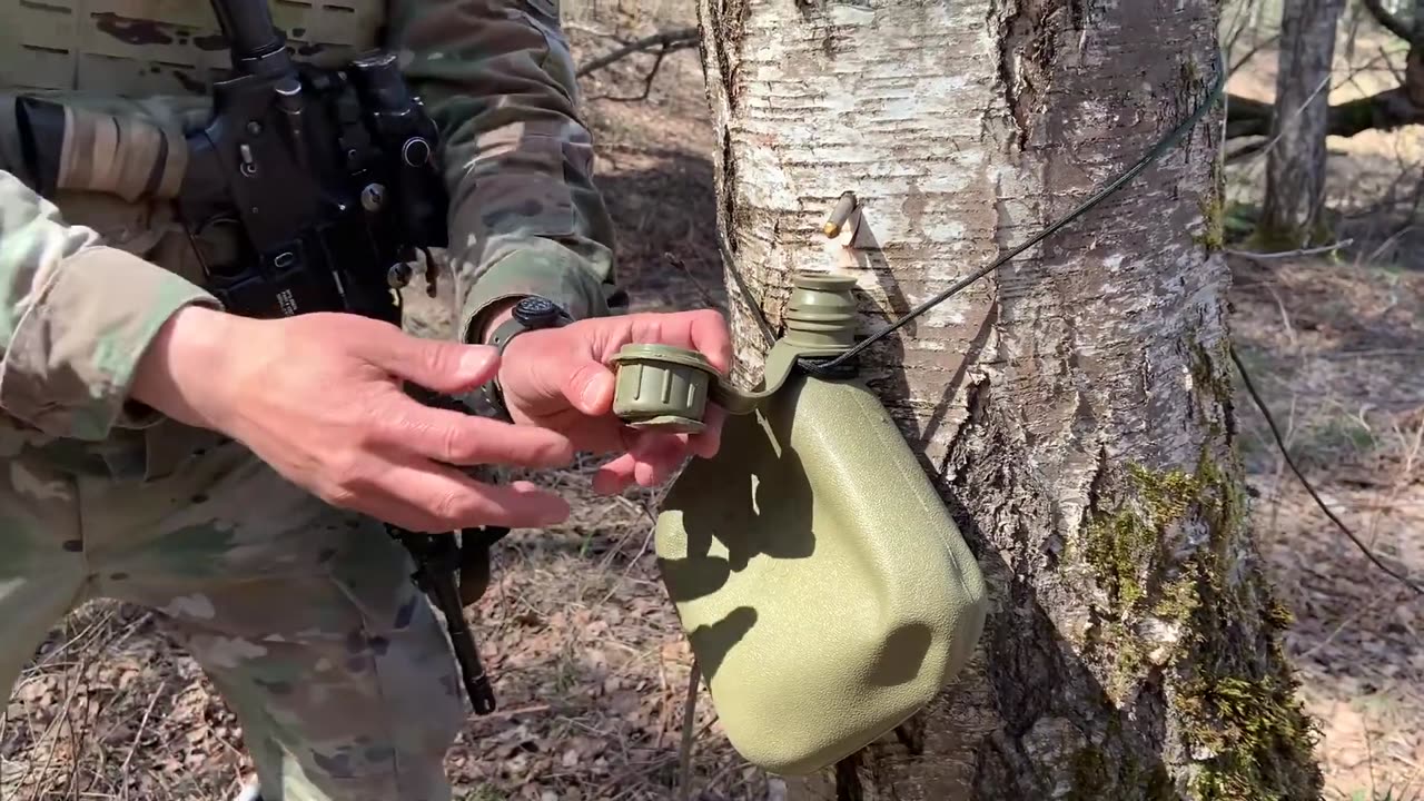Survival Training: How to Get Water From a Tree