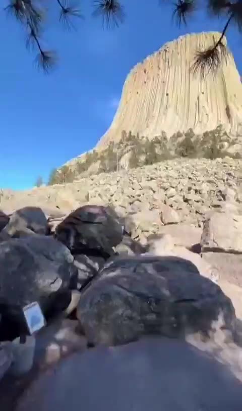 DEVILS TOWER, THE GIANT TREE STUMP