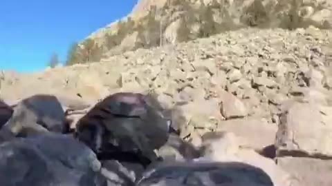 DEVILS TOWER, THE GIANT TREE STUMP