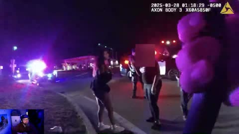 All Hell Breaks Loose During Simple Traffic Stop