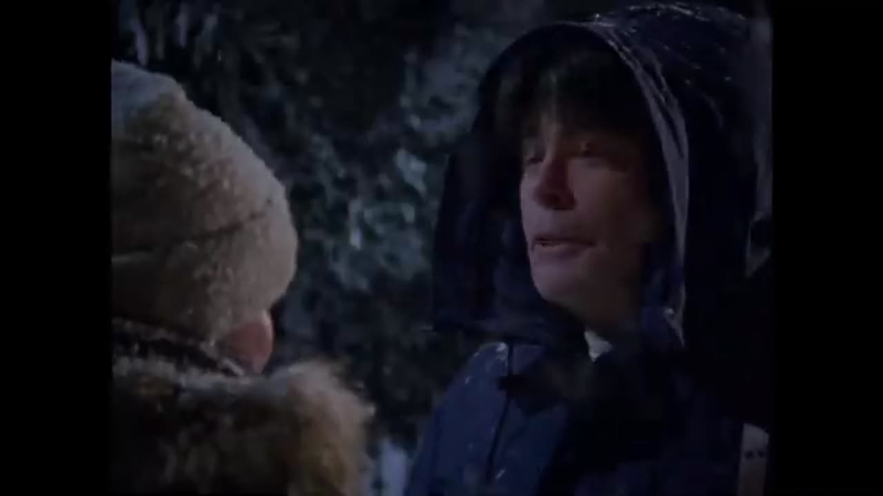 All Stephen King Cameos