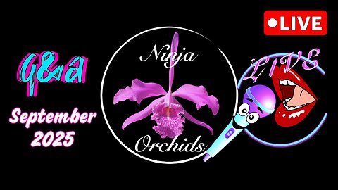Monthly Q&A September '25 Comments Review Orchid Diverse Topics #ninjaorchids Hang Out #ninjaorchids