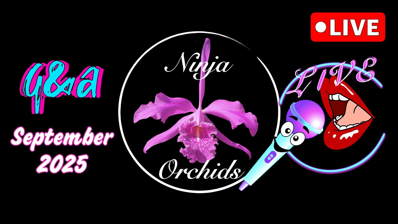 Monthly Q&A September '25 Comments Review Orchid Diverse Topics #ninjaorchids Hang Out #ninjaorchids