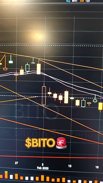 $BITO🚨