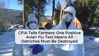 Clip #4: CFIA Tells Farmers: One Positive Avian Flu Test Means All Ostriches Must Be Destroyed
