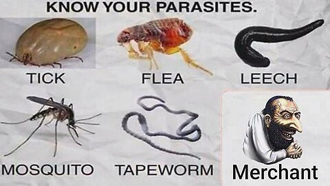 A short Victor Hugo, & Dustin Nemos Documentary...