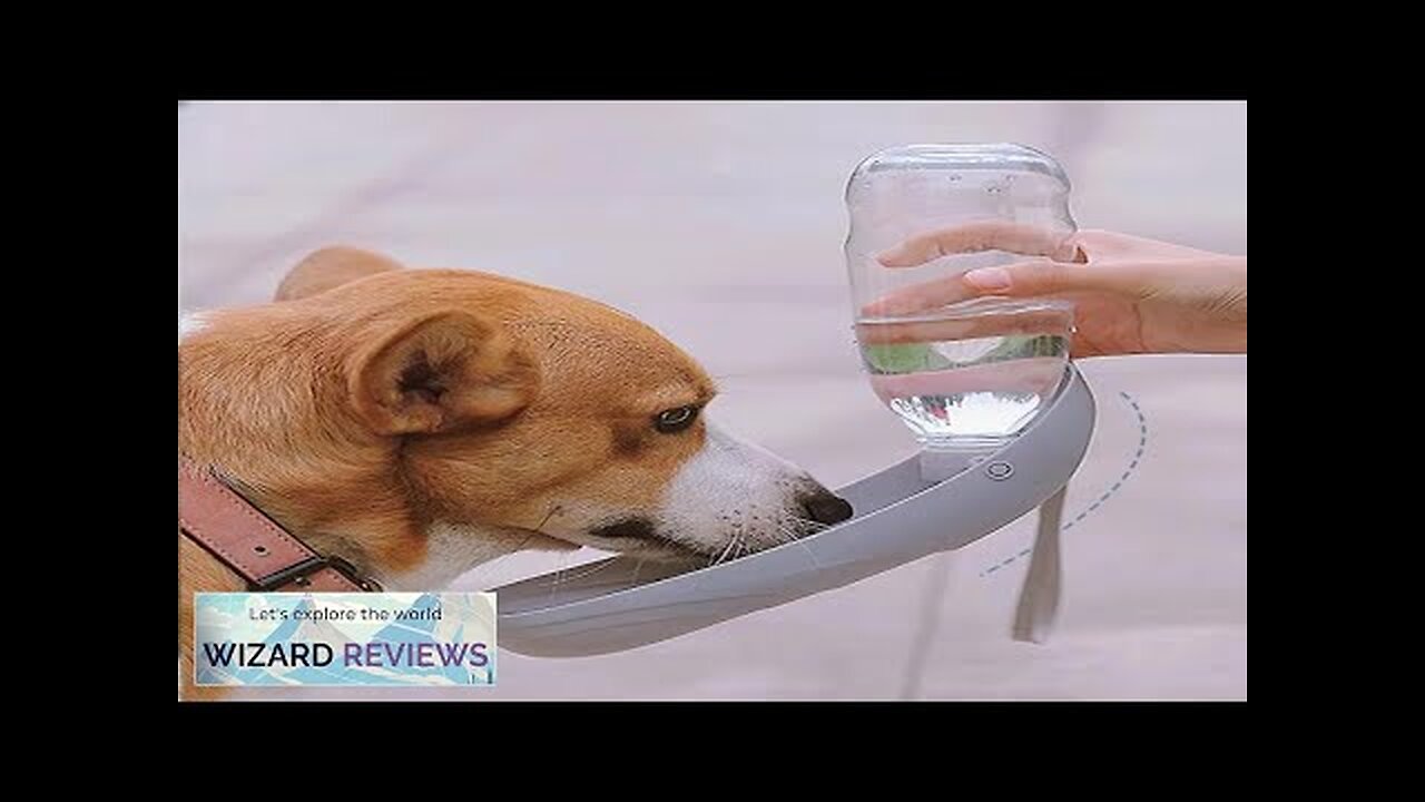 Dogs Go Out Kettle Drinker Portable Water Cup Drinking Water Feeder Pet Review