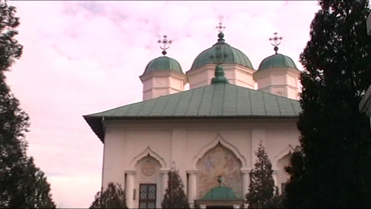 Mănăstirile Pasărea și Cernica, 2007