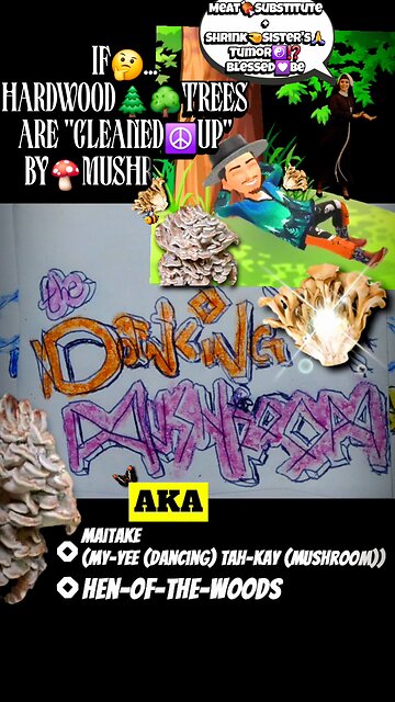 #maitake #keeplearning #scientific #mushrooms #mycologysociety #fungi #health #dancingmushroom