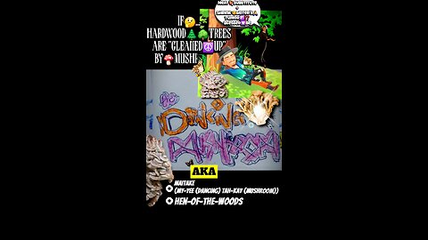 #maitake #keeplearning #scientific #mushrooms #mycologysociety #fungi #health #dancingmushroom