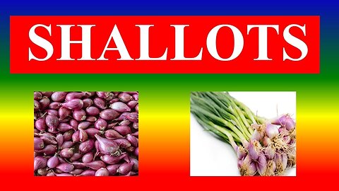 The Superfood You’re Ignoring! #Shallots #Superfood #Tips #ShallotBenefits