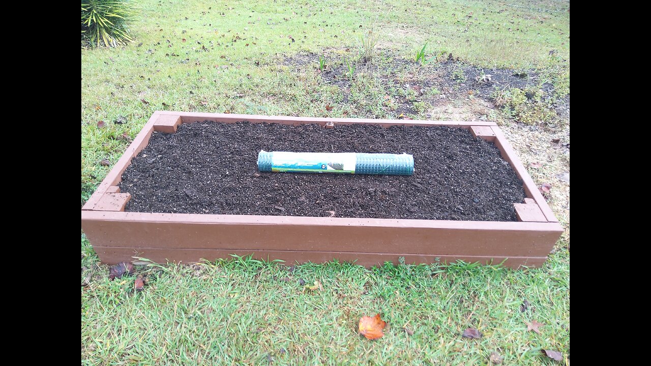 Squirrel proofing our planter box for the fall 10/27/25