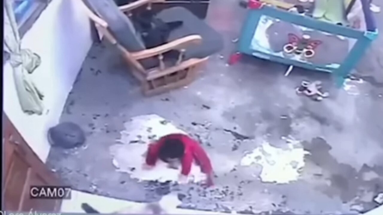 Cat Saves Toddler From Falling Down Stairs