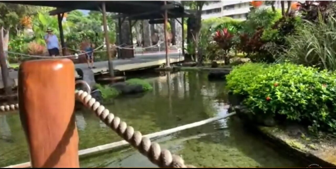 JUAN O SAVIN NOV 17 GITMO