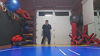 WTD Kickstance Combination 17, Advancing Set (Rank 3)